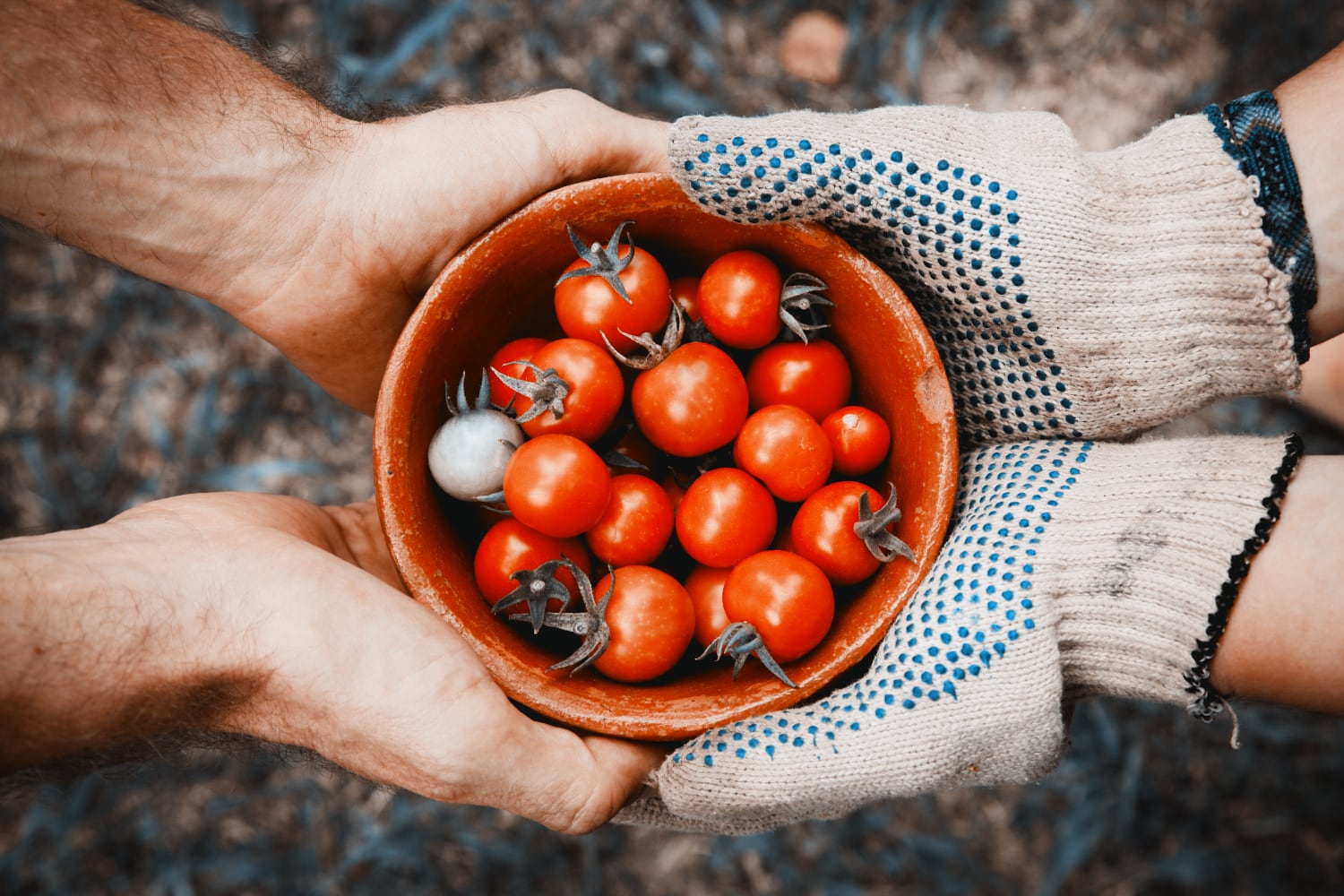 Share logic between Android and iOS using Kotlin Multiplatform